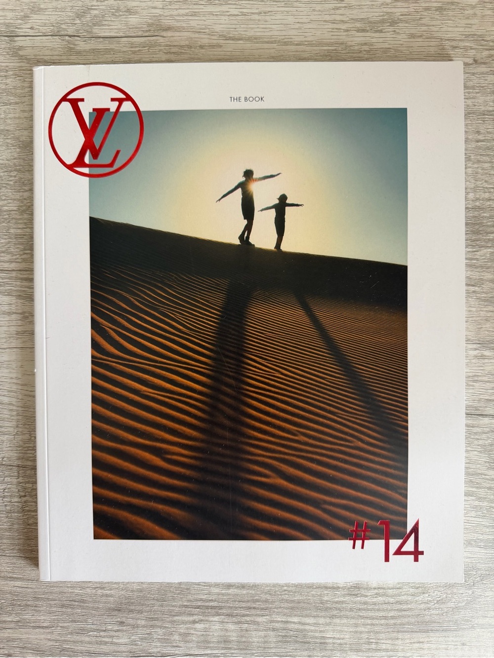 Louis Vuitton book/magazine Art with Red Logo and Desert Photograph